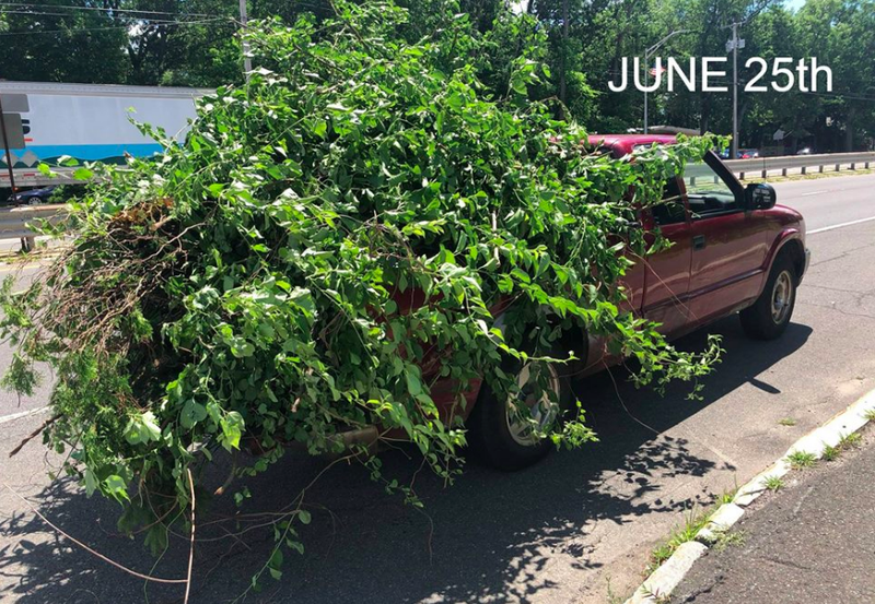 Source: Chicopee Police Department